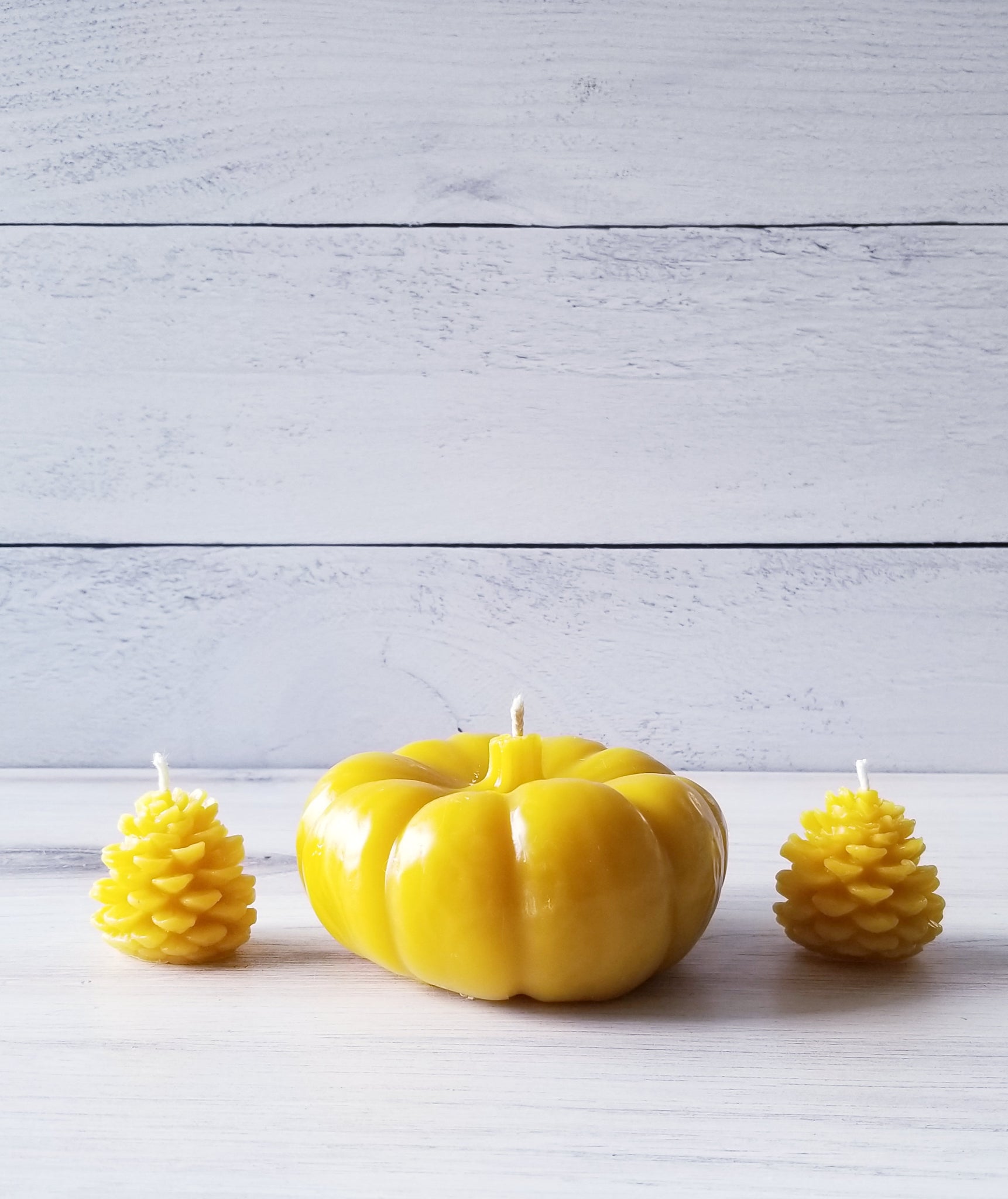 Fall Candle Set (Set of 3)| Pinecone and Pumpkin Candles