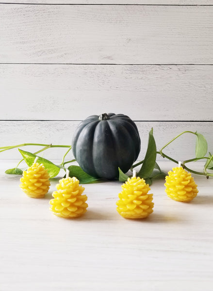 100% Pure Beeswax Pinecone Candles (Set of 4)