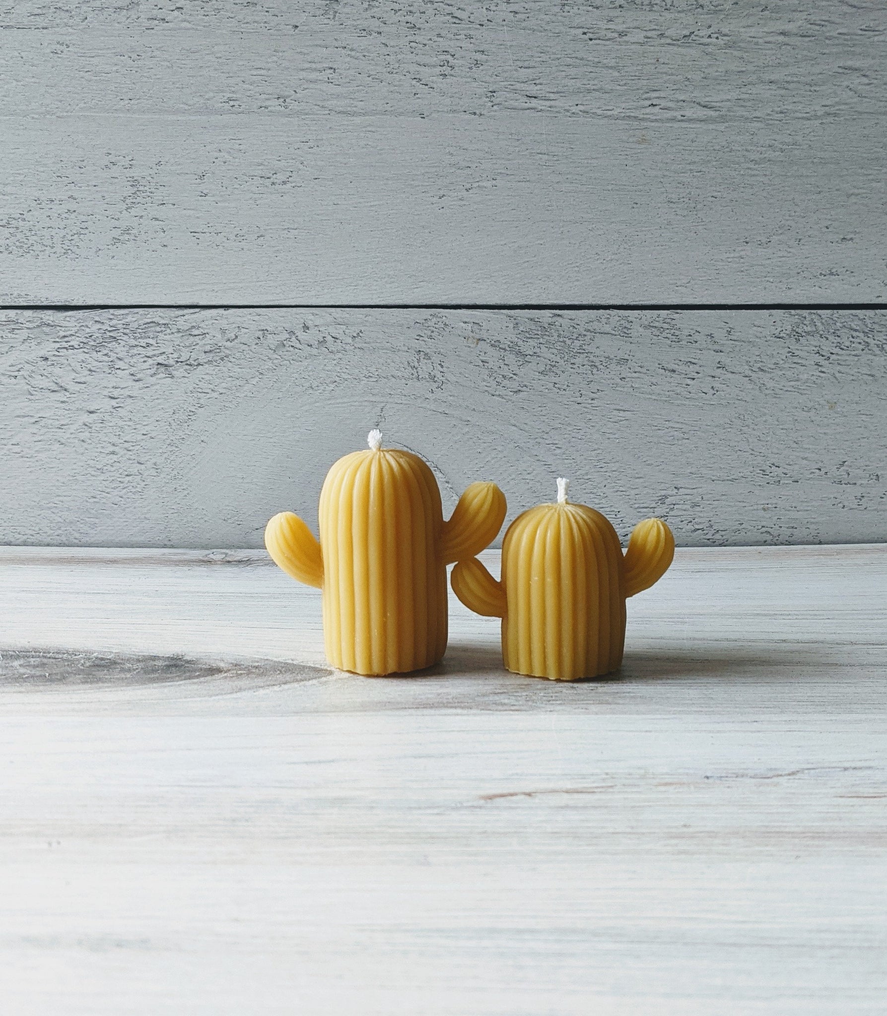 Cactus Candles (Set of 2)